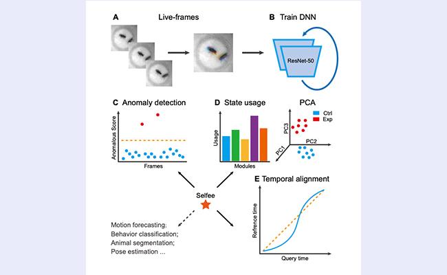 空白背景1new - 副本.jpg